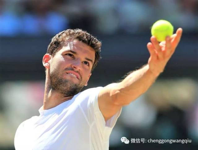 场的激情 场的激情