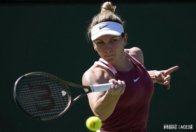 南美新星内 南美新星内