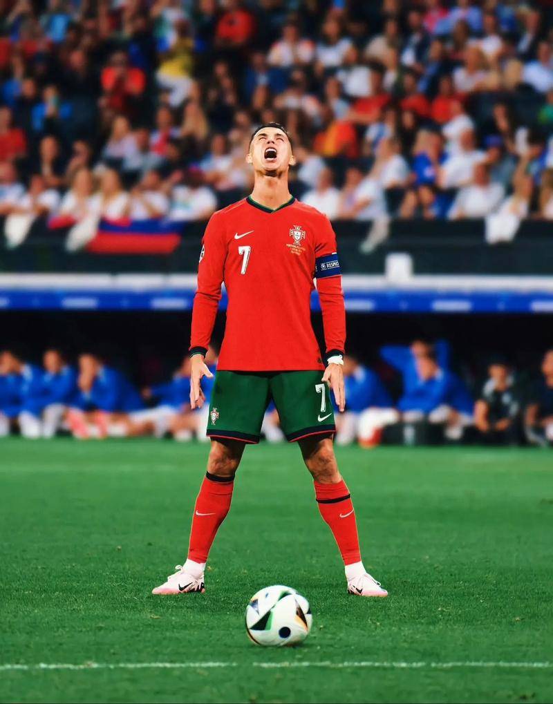 的双子星 的双子星