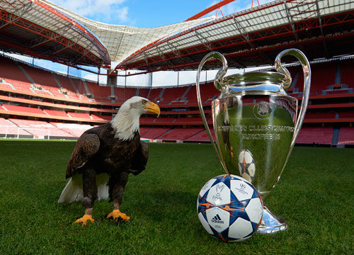 步行组合更 步行组合更